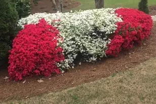 431 Providence Club Dr, Monroe, GA 30656 - Photo 28