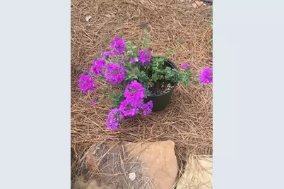 431 Providence Club Drive, Monroe, GA 30656 - Photo 34