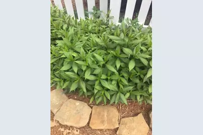 431 Providence Club Drive, Monroe, GA 30656 - Photo 30