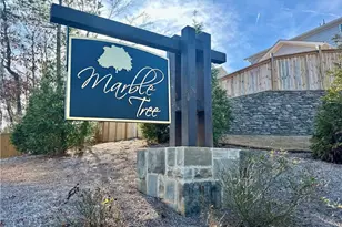 162 Marble Tree Wy, Ball Ground, GA 30107 - Photo 26