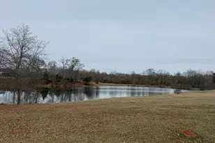 690 Lake Vista Dr, Jefferson, GA 30549 - Photo 50