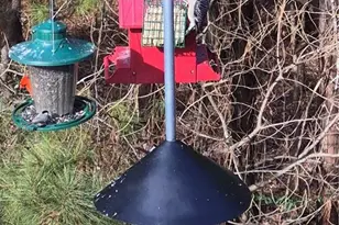 475 Ridgewood Dr, Fayetteville, GA 30215 - Photo 58