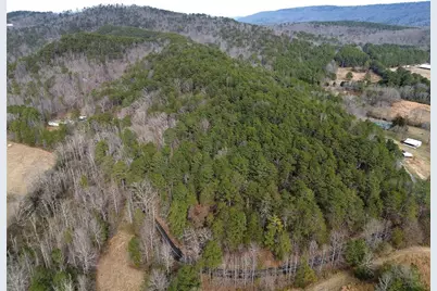 00 Manning Mill Road, Summerville, GA 30747 - Photo 10