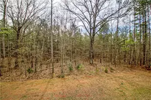 68 Skyview Rd, Senoia, GA 30276 - Photo 50