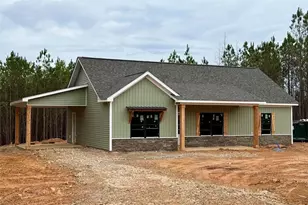 466 Mt Zion Church Rd, Tallapoosa, GA 30176 - Photo 4