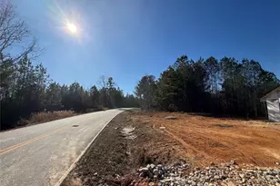 466 Mt Zion Church Rd, Tallapoosa, GA 30176 - Photo 18