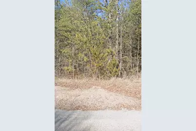 0 Talc Mine Road, Jasper, GA 30143 - Photo 2