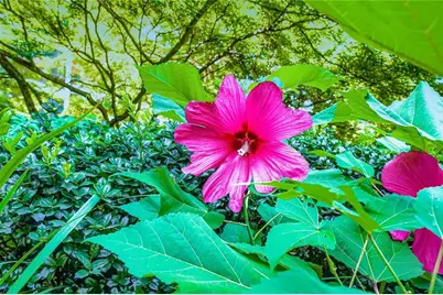 1800 Clairmont Lake #A325, Decatur, GA 30033 - Photo 50