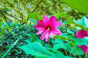 1800 Clairmont Lake, Decatur, GA 30033 - Photo 50