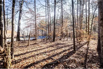 1001 Overlook Terrace, Ball Ground, GA 30107 - Photo 8