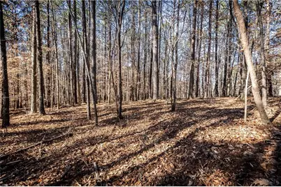 1001 Overlook Terrace, Ball Ground, GA 30107 - Photo 12
