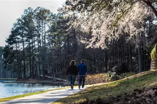 111 Teal Ct, Roswell, GA 30076 - Photo 22