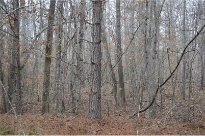 0 S Old Hwy 5 Road S, Talking Rock, GA 30175 - Photo 6