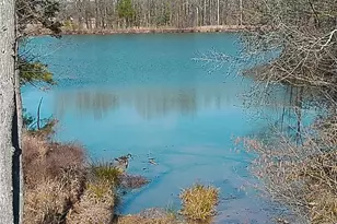 72 Shoal Ct, Winder, GA 30680 - Photo 4