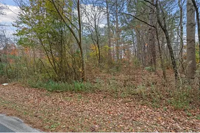 231 Buncombe Waco Rd, Waco, GA 30182 - Photo 2