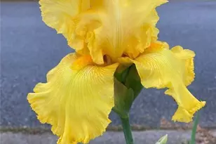 366 Silverthorn Dr NW, Marietta, GA 30064 - Photo 90