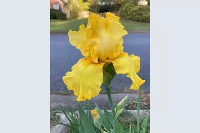 366 Silverthorn Drive NW, Marietta, GA 30064 - Photo 92