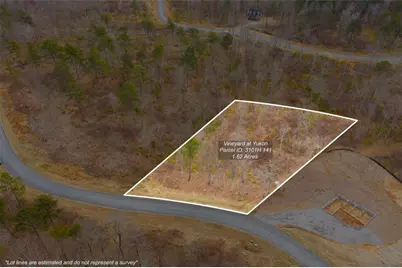 Lt 141 Twisted Oak Road, Talking Rock, GA 30175 - Photo 2