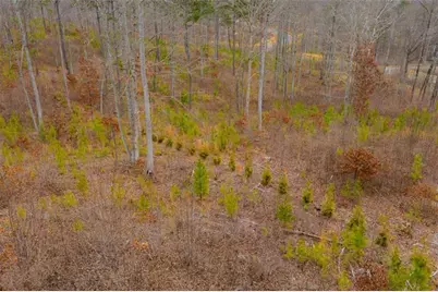 Lt 141 Twisted Oak Road, Talking Rock, GA 30175 - Photo 12