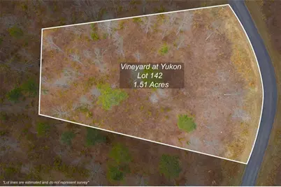 Lt 142 Twisted Oak Road, Talking Rock, GA 30175 - Photo 2