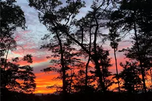 96 Morgan Trail, East Ellijay, GA 30536 - Photo 48