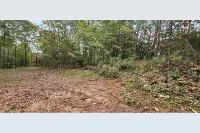 18 E Mourning Dove Court, Monticello, GA 31064 - Photo 16