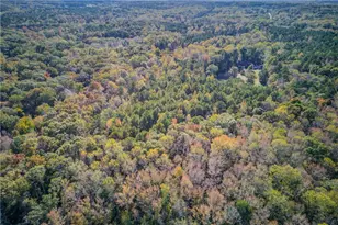 1520 Rivermist Dr, Monroe, GA 30655 - Photo 52