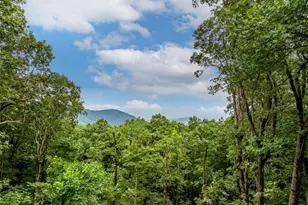 31 High Cliff Rd, Jasper, GA 30143 - Photo 44