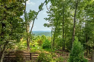 2191 Old Hwy 5, Blue Ridge, GA 30513 - Photo 56