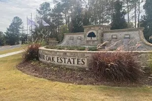 1601 Lacebark Elm Wy, Lawrenceville, GA 30045 - Photo 4