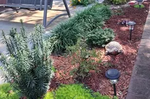 915 Charleston Ct, Gainesville, GA 30501 - Photo 44