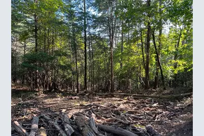 152 Silver Fox Loop, Waleska, GA 30183 - Photo 4