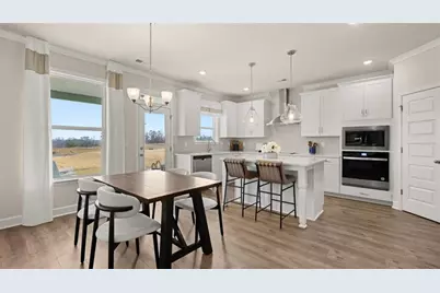 1787 Goodwin Drive, Hampton, GA 30228 - Photo 20