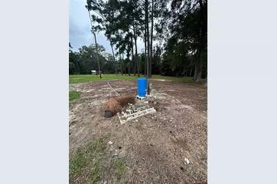 631 Flintside Drive, Cobb, GA 31735 - Photo 4