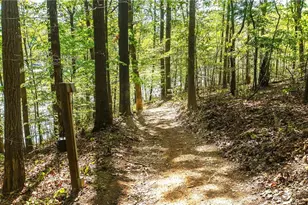 4650 Perry Rd, Gainesville, GA 30506 - Photo 34