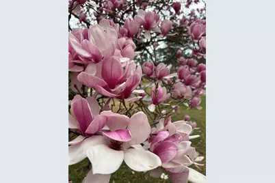 3675 Toxaway Court, Atlanta, GA 30341 - Photo 42