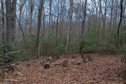 561 Cartecay Trace, Ellijay, GA 30536 - Photo 44