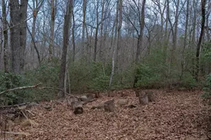 561 Cartecay Trce, Ellijay, GA 30536 - Photo 44