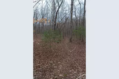 561 Cartecay Trace, Ellijay, GA 30536 - Photo 42