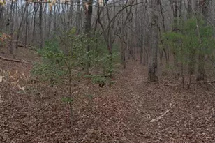 561 Cartecay Trce, Ellijay, GA 30536 - Photo 42