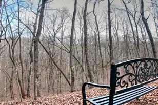 561 Cartecay Trce, Ellijay, GA 30536 - Photo 58