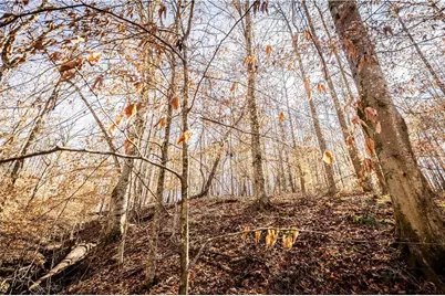 391 Marvin Land Lane, Canton, GA 30115 - Photo 8