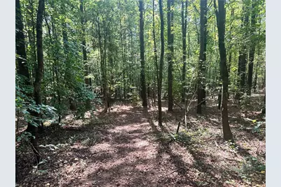 7330 Frix Road, Cumming, GA 30028 - Photo 8