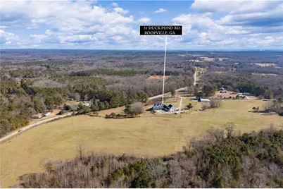 31 Duck Pond Road, Roopville, GA 30170 - Photo 30