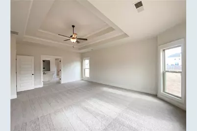 46 Ellabelle Court, Senoia, GA 30276 - Photo 4