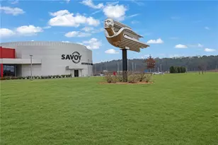 803 Dundee Wy, Cartersville, GA 30121 - Photo 36