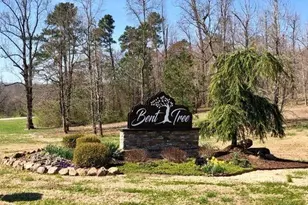 219 Coachwhip Ct, Jasper, GA 30143 - Photo 106