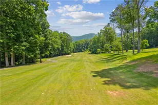 219 Coachwhip Ct, Jasper, GA 30143 - Photo 102