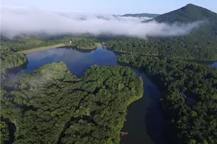 219 Coachwhip Ct, Jasper, GA 30143 - Photo 82