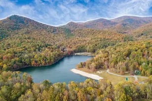 219 Coachwhip Ct, Jasper, GA 30143 - Photo 98